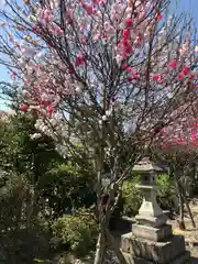 總社 和田八幡宮(福井県)