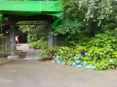 白石神社の山門