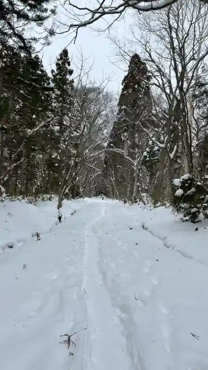 戸隠神社奥社の{uncategorized: "未分類", other: "その他", undefined: "問題あり", building: "その他建物", grave: "お墓", sacred_gate: "鳥居", guardian: "狛犬", statue: "像", buddha: "仏像", history: "歴史", nature: "自然", garden: "庭園", animal: "動物", pagoda: "塔", temizu: "手水舎", mountain_gate: "山門・神門", sanctuary: "本殿・本堂", subordinate: "末社・摂社", art: "芸術", scenery: "景色", jizo: "地蔵", ema: "絵馬", goshuin: "御朱印", omikuji: "おみくじ", items: "授与品その他", amulet: "お守り", goshuincho: "御朱印帳", eats: "食事", festival: "お祭り", votive_dance: "神楽", shichigosan: "七五三参", wedding: "結婚式", experience: "体験その他", initially: "初詣", around: "周辺", anti_infection: "感染症対策"}