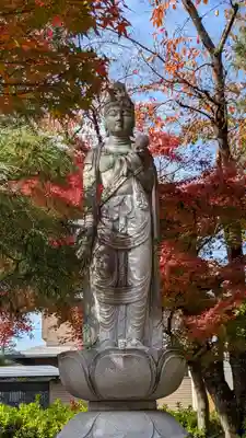 妙顯寺（妙顕寺）(京都府)