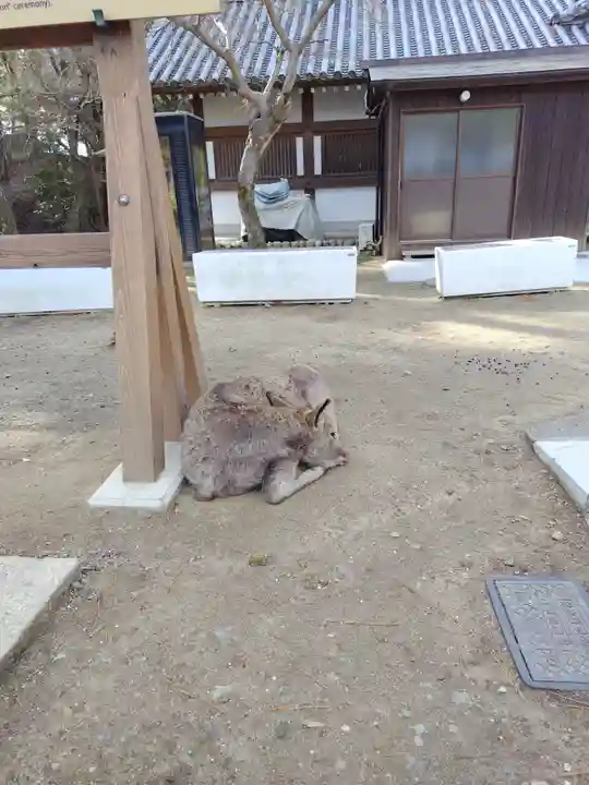 東大寺(奈良県)