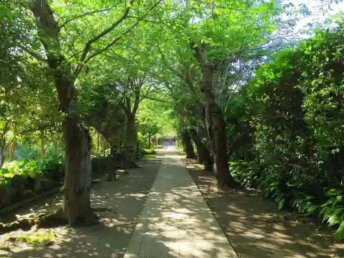 極楽寺（霊鷲山感應院極楽律寺）のその他建物