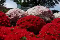 根津神社(東京都)