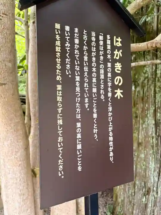 法起院(奈良県)