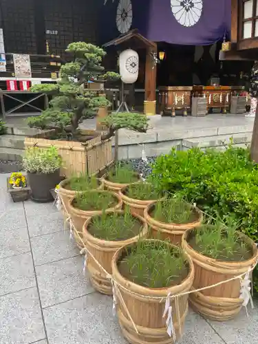 東京大神宮の庭園