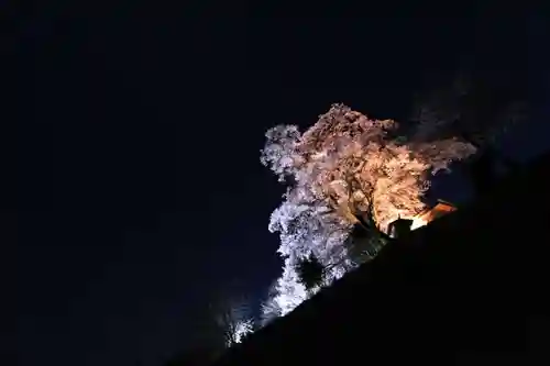 天神さまの祠の景色