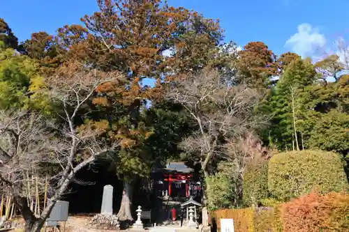 小川諏訪神社の景色