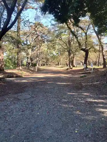 埼玉縣護國神社の自然