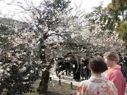 北野天満宮(京都府)