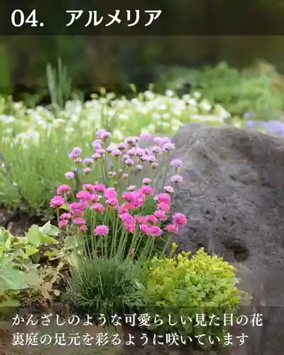 宝光寺(北海道)