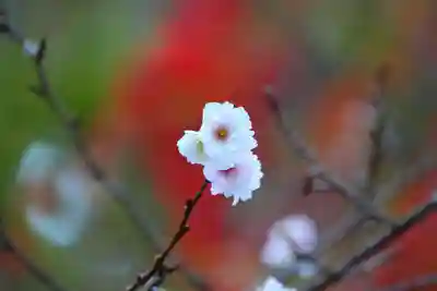 開成山大神宮の庭園