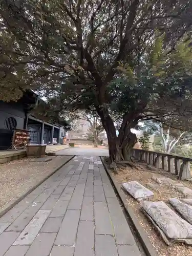 湯島聖堂(東京都)