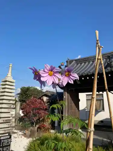 万福寺の自然
