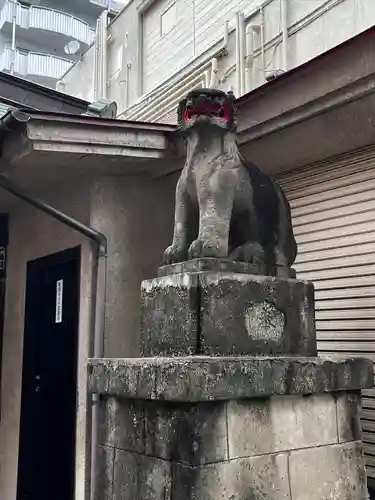 祇園白山神社の狛犬