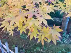 本土寺(千葉県)