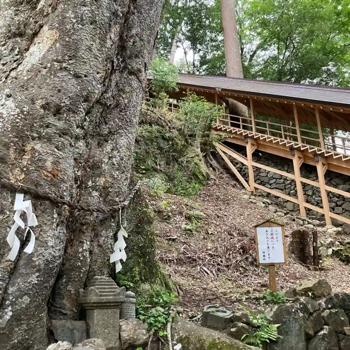 丹生川上神社(下社)(奈良県)