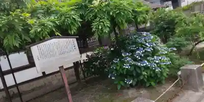 六孫王神社(京都府)