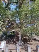 北野天満宮(福岡県)