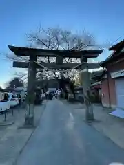 前玉神社の鳥居