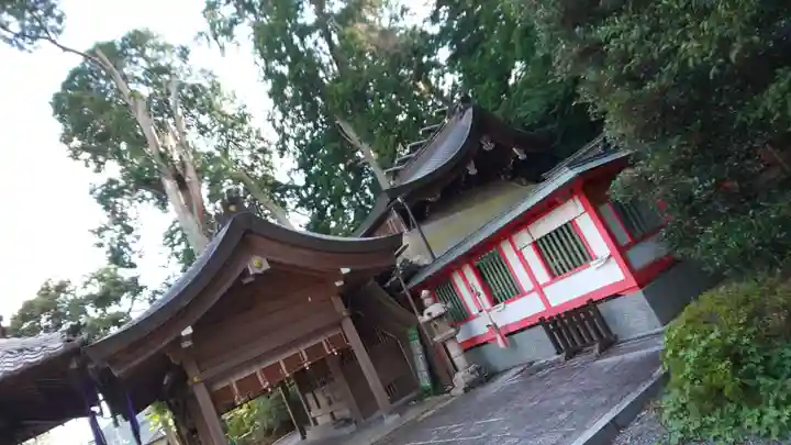 稗田野神社(薭田野神社)の本殿・本堂