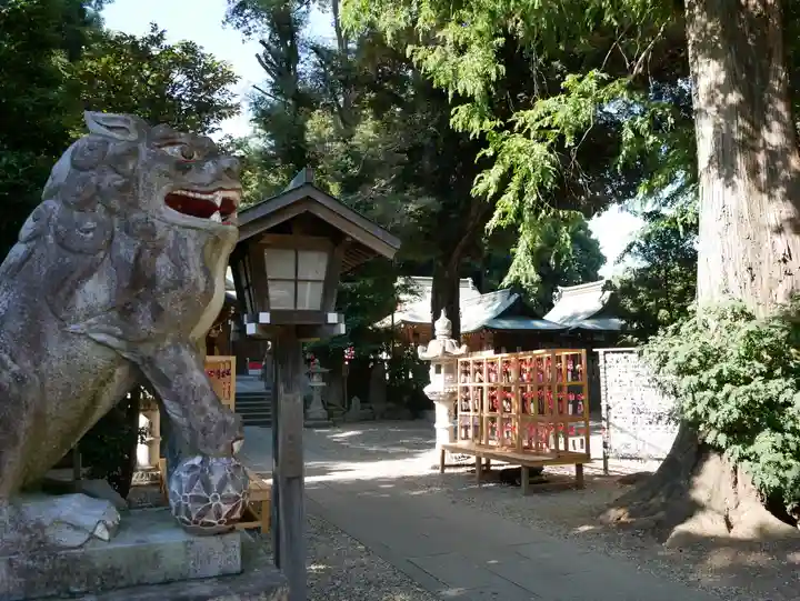 岩槻久伊豆神社の狛犬