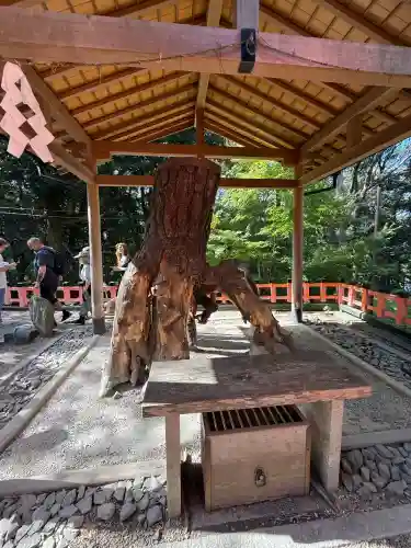 伏見稲荷大社(京都府)