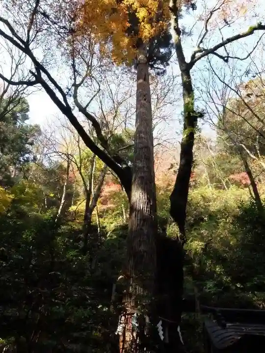 貴船神社奥宮(京都府)