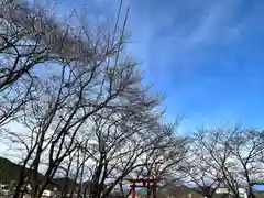 子檀嶺神社(長野県)