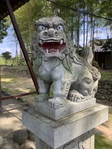 宮後八幡社の狛犬