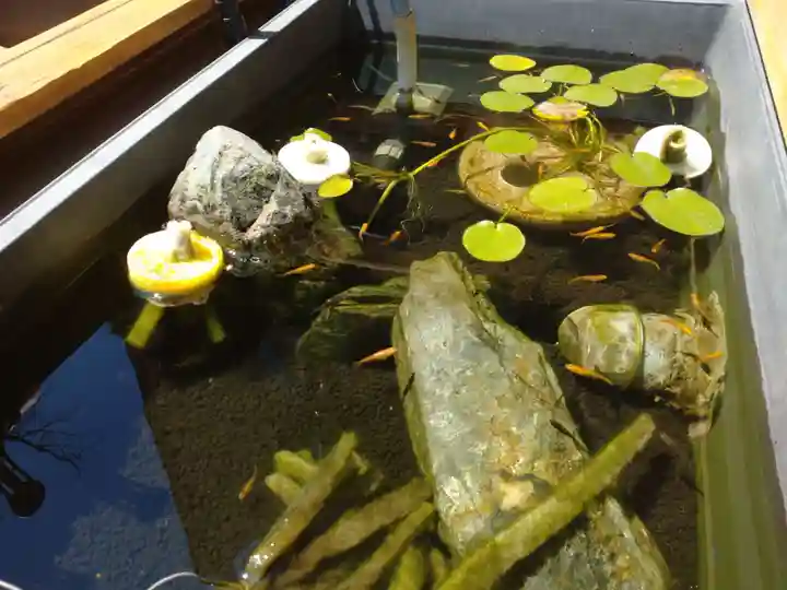 観音寺の手水舎