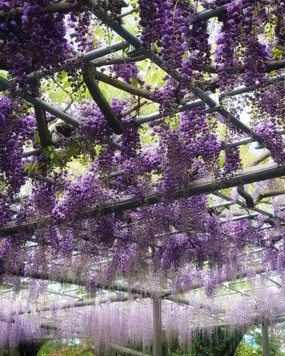 秋葉神社(愛知県)