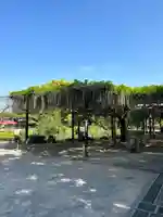 大天白神社(埼玉県)