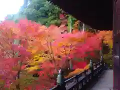 播州清水寺の自然