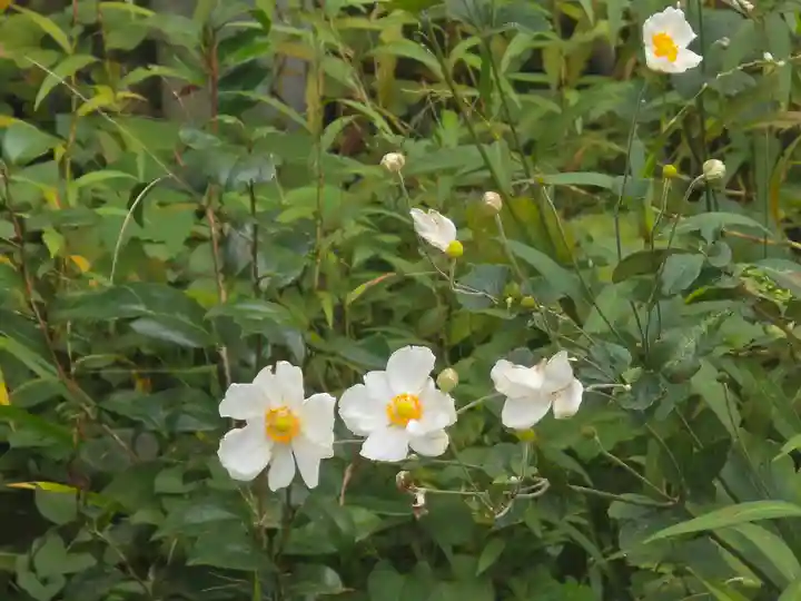 一音寺(京都府)