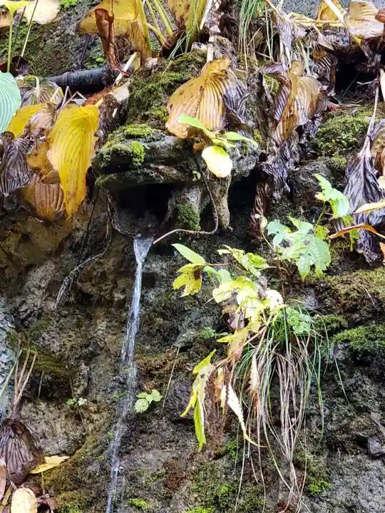 大滝観音の自然