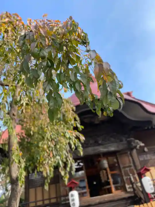 大鏑神社の本殿・本堂