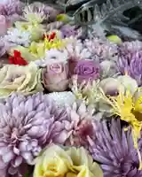 彌都加伎神社の手水舎