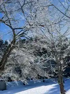 雲洞庵(新潟県)