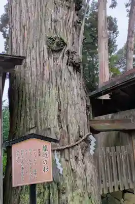 豊受大神社(京都府)