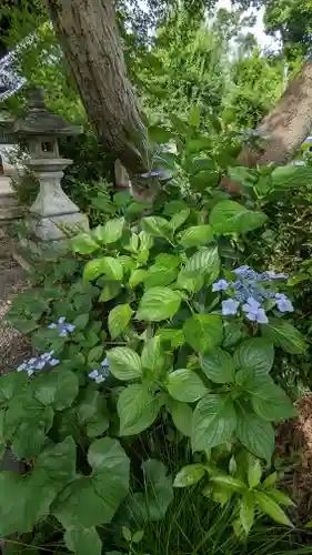 東北院(京都府)