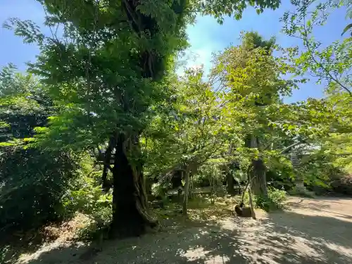 龍峰寺(神奈川県)