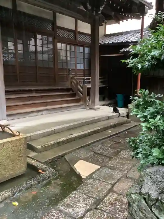 徳照寺の本殿・本堂