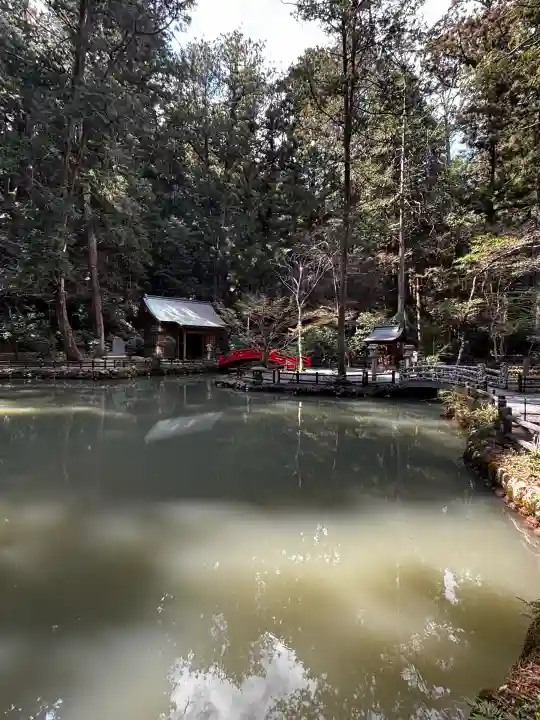 小國神社の{uncategorized: "未分類", other: "その他", undefined: "問題あり", building: "その他建物", grave: "お墓", sacred_gate: "鳥居", guardian: "狛犬", statue: "像", buddha: "仏像", history: "歴史", nature: "自然", garden: "庭園", animal: "動物", pagoda: "塔", temizu: "手水舎", mountain_gate: "山門・神門", sanctuary: "本殿・本堂", subordinate: "末社・摂社", art: "芸術", scenery: "景色", jizo: "地蔵", ema: "絵馬", goshuin: "御朱印", omikuji: "おみくじ", items: "授与品その他", amulet: "お守り", goshuincho: "御朱印帳", eats: "食事", festival: "お祭り", votive_dance: "神楽", shichigosan: "七五三参", wedding: "結婚式", experience: "体験その他", initially: "初詣", around: "周辺", anti_infection: "感染症対策"}