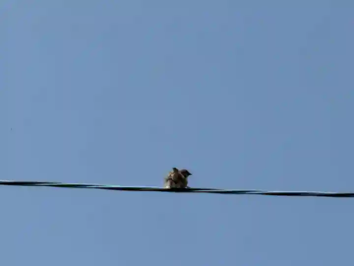 西方山極楽寺(岐阜県)