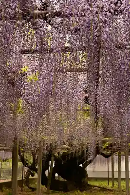 長泉寺(埼玉県)