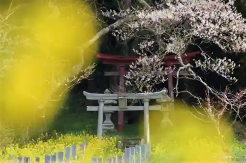 正一位稲荷神社の鳥居