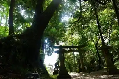 葛木水分神社のその他建物