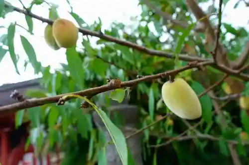 総持寺の自然