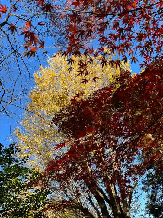 天台宗 長窪山 正覚寺の自然