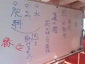 蓮久寺の体験その他(2020年02月09日(日) 13時48分41秒投稿)